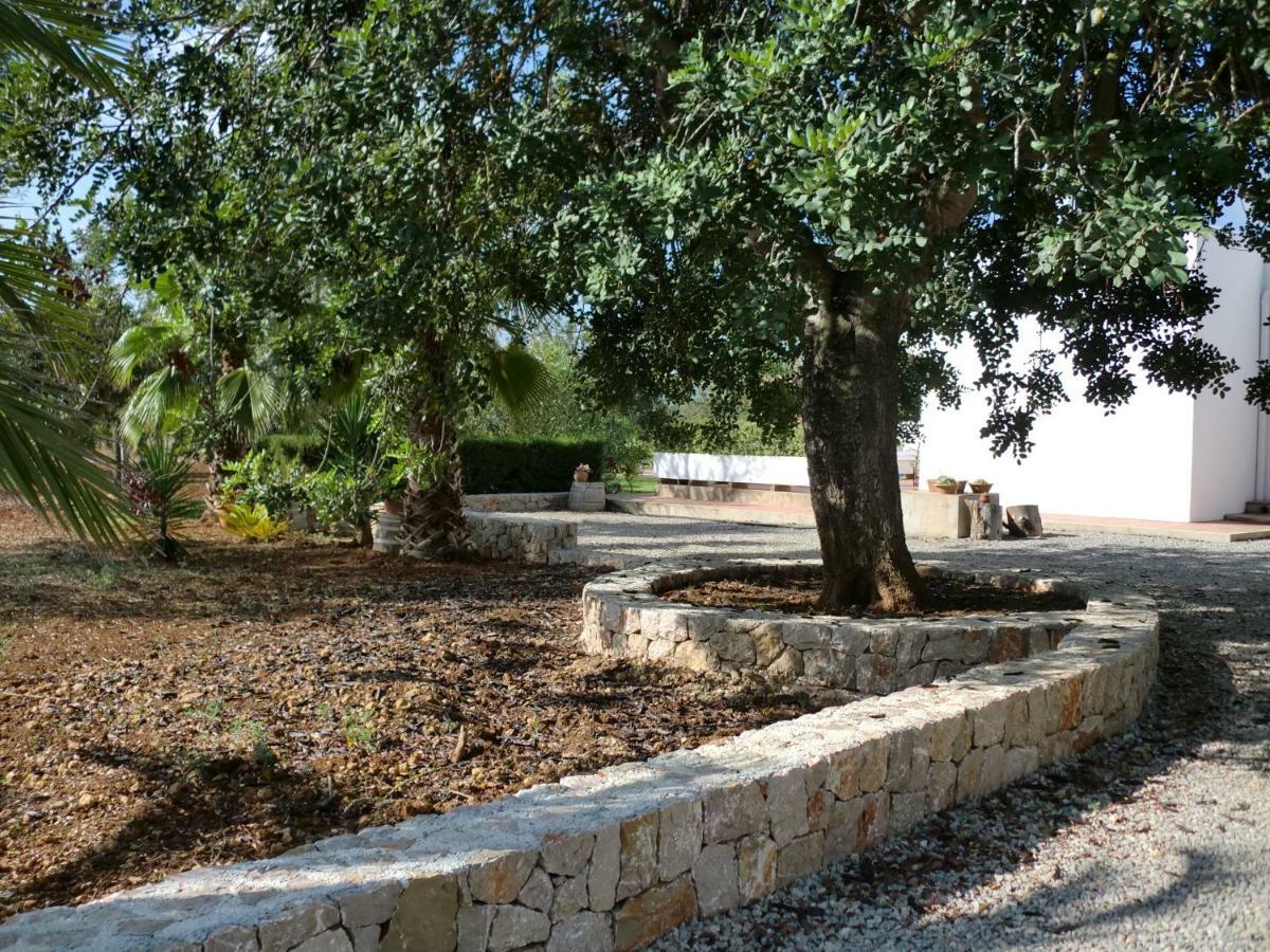 Sa Vinyeta Villa Sant Llorenc de Balafia Bagian luar foto